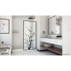 Linea Blossom Shower Door